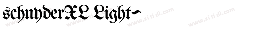 schnyderXL Light字体转换